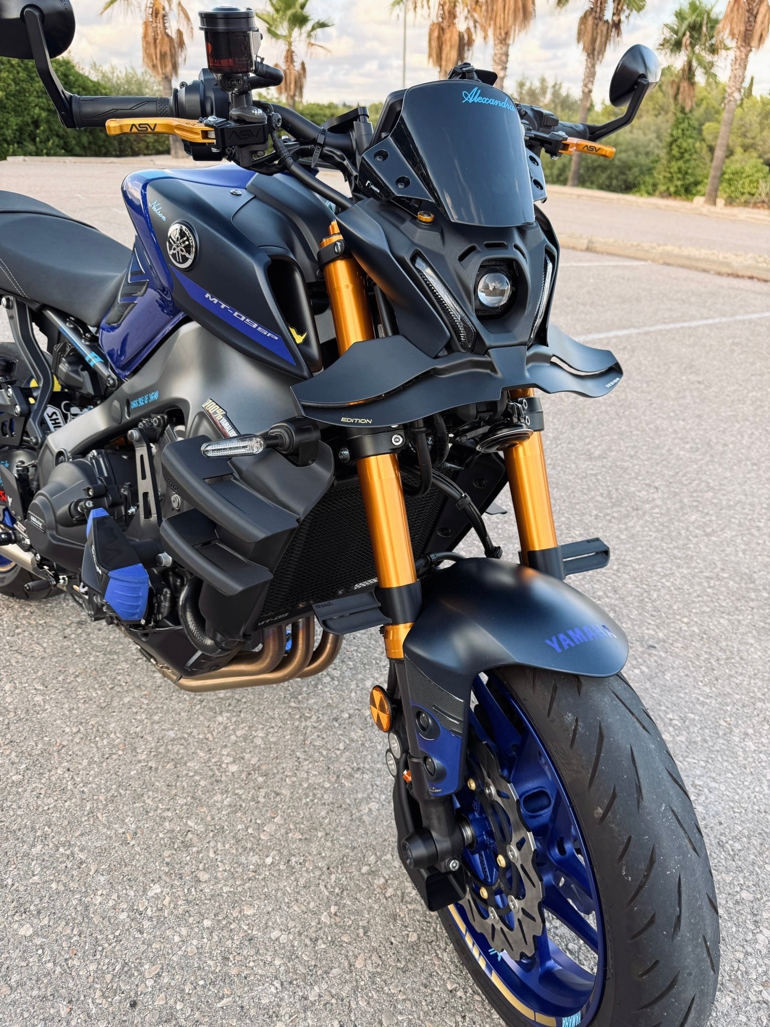 Universal Fork Winglets