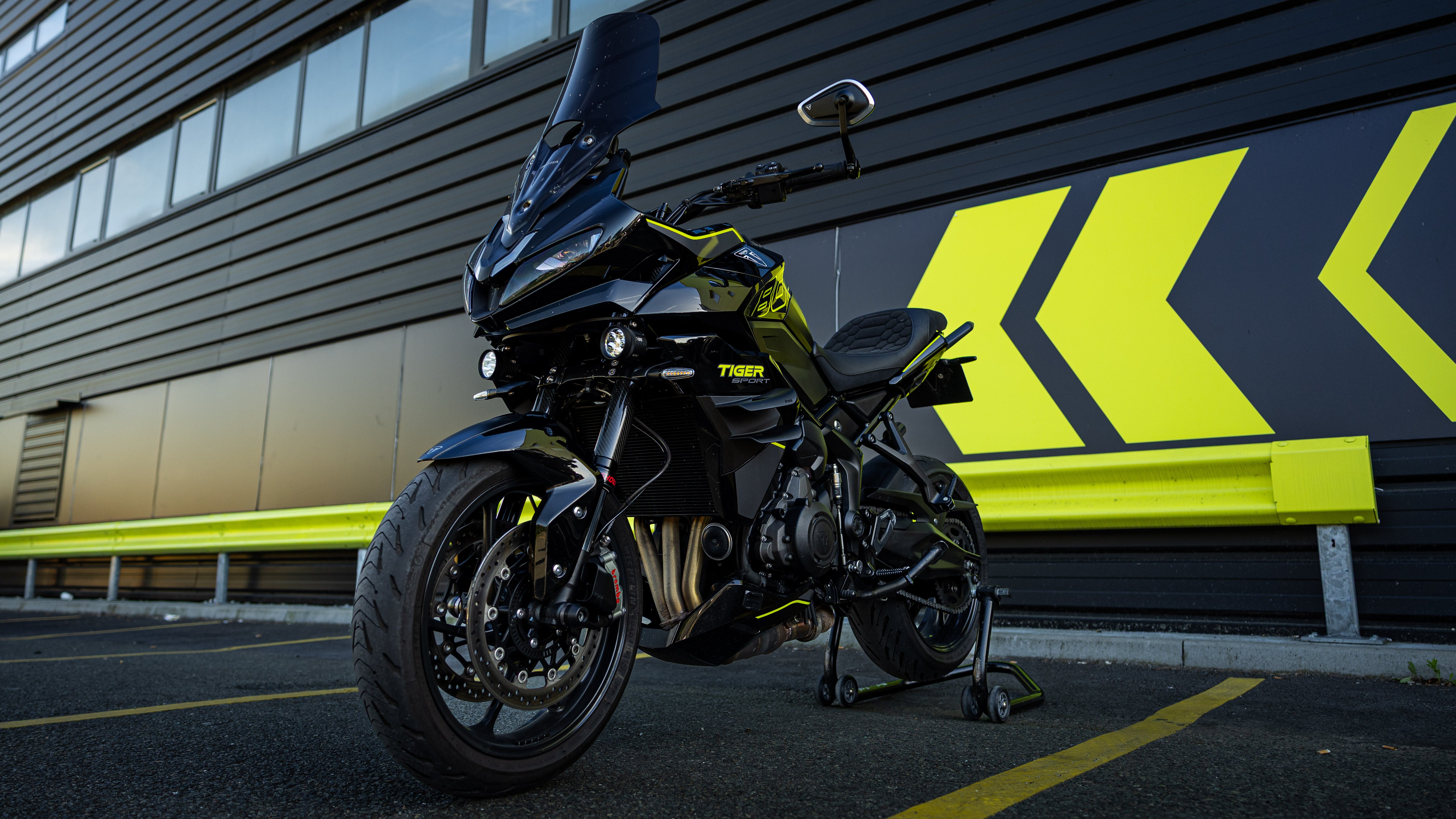 Ali Doppio - Triumph Tiger Sport 800
