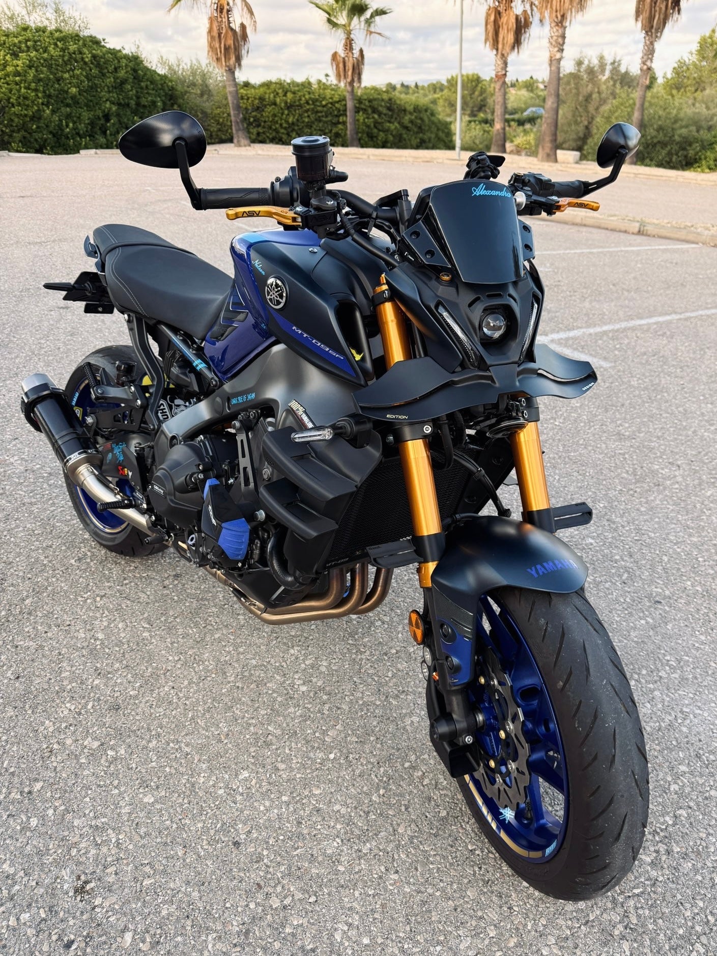 Universal Fork Winglets