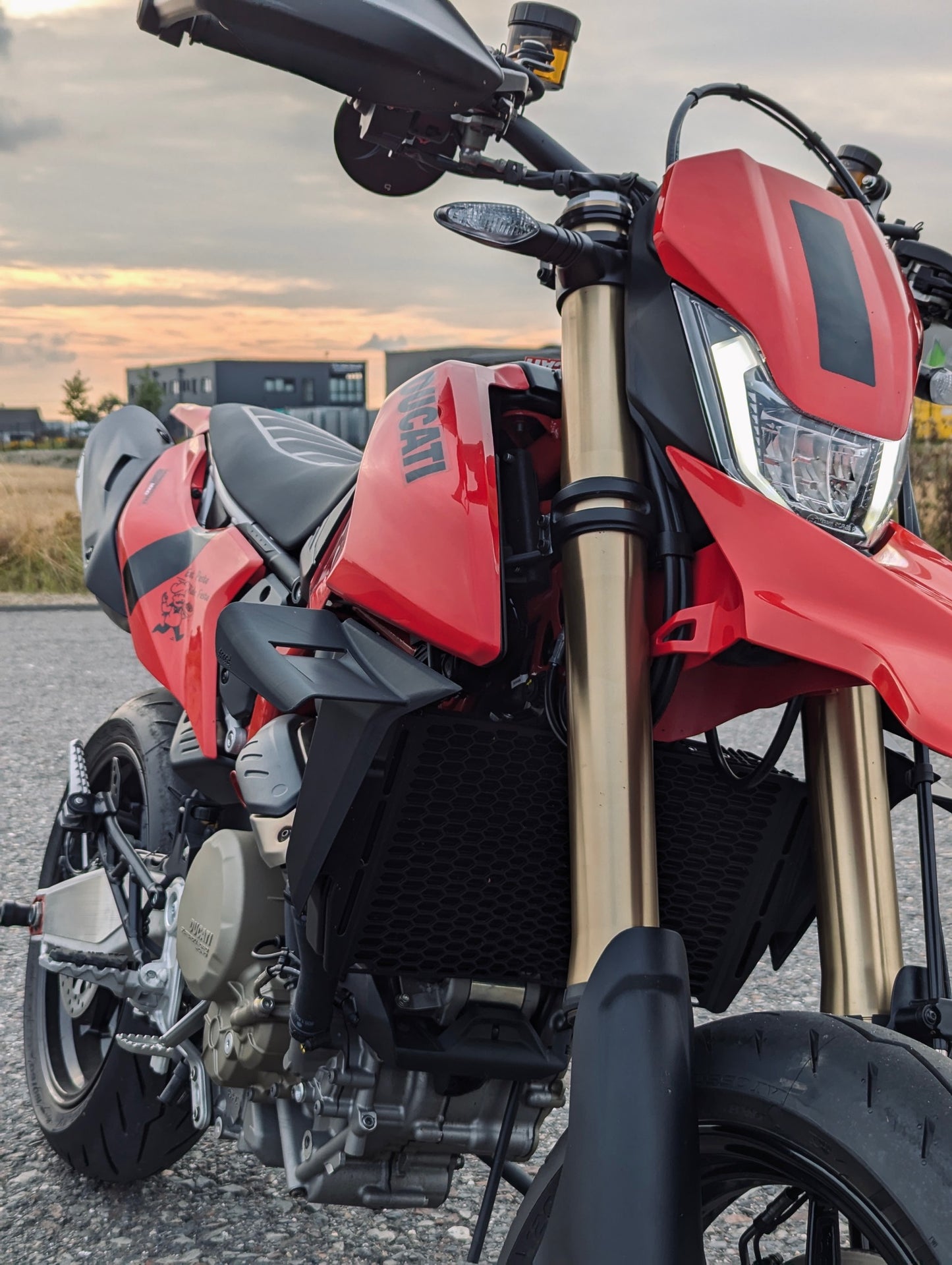Winglets - Ducati Hypermotard 698 Mono