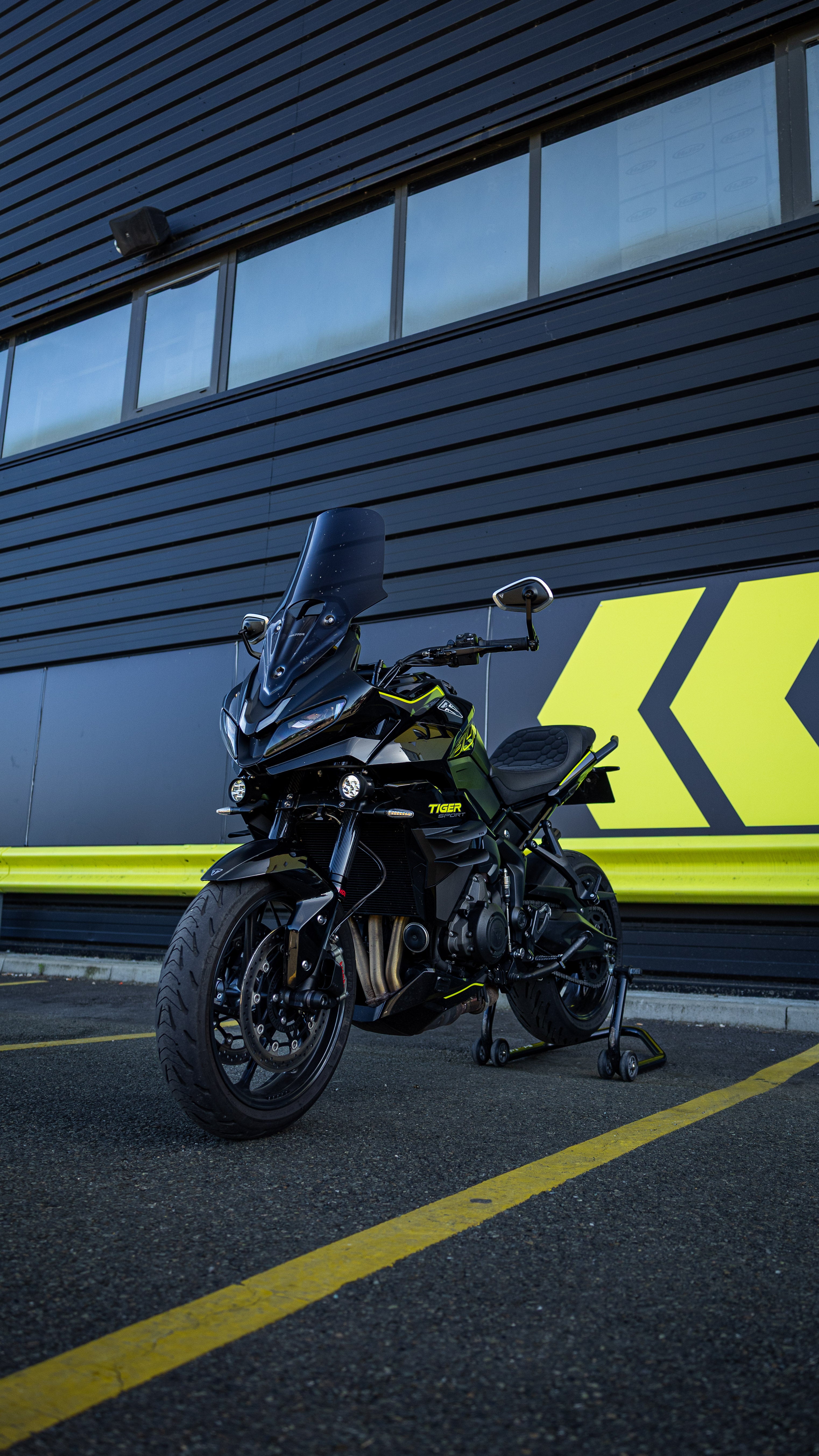 Ali Doppio - Triumph Tiger Sport 800