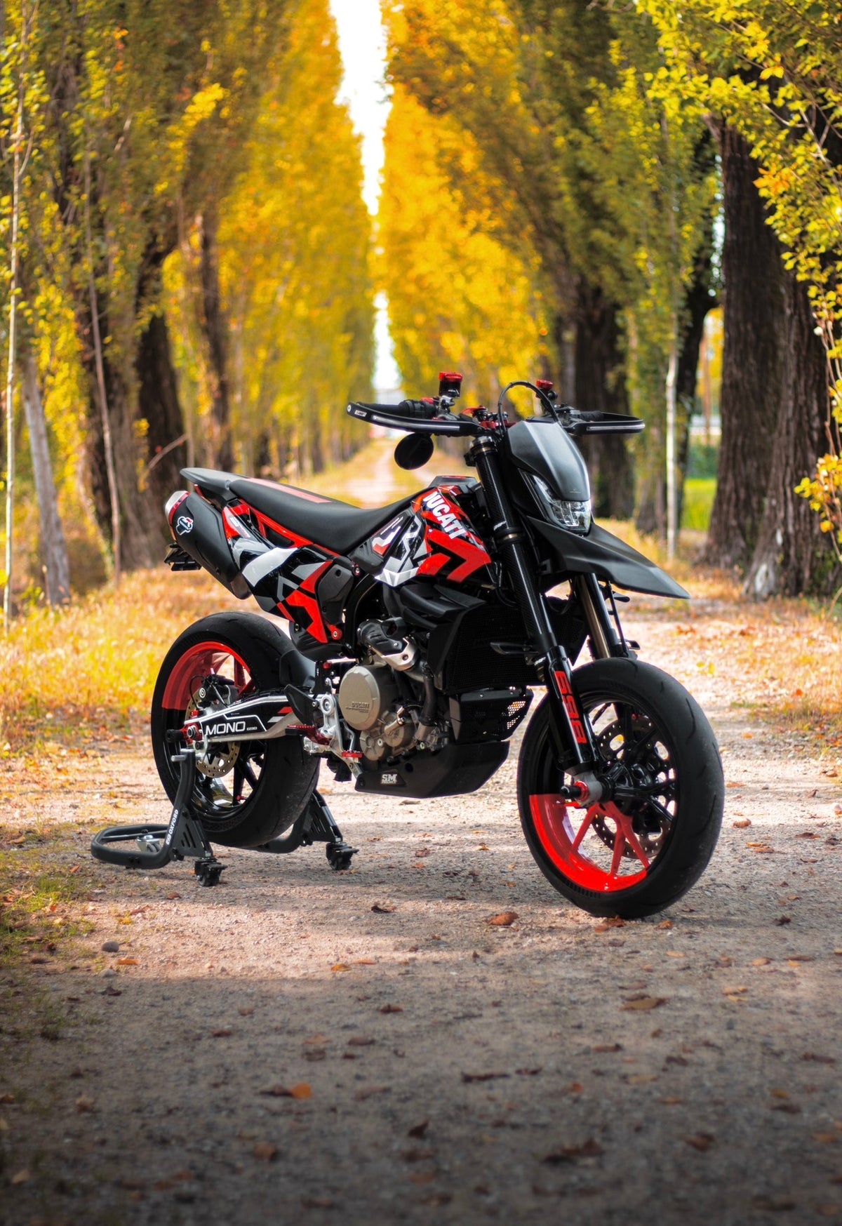 Alette - Ducati Hypermotard 698 Mono