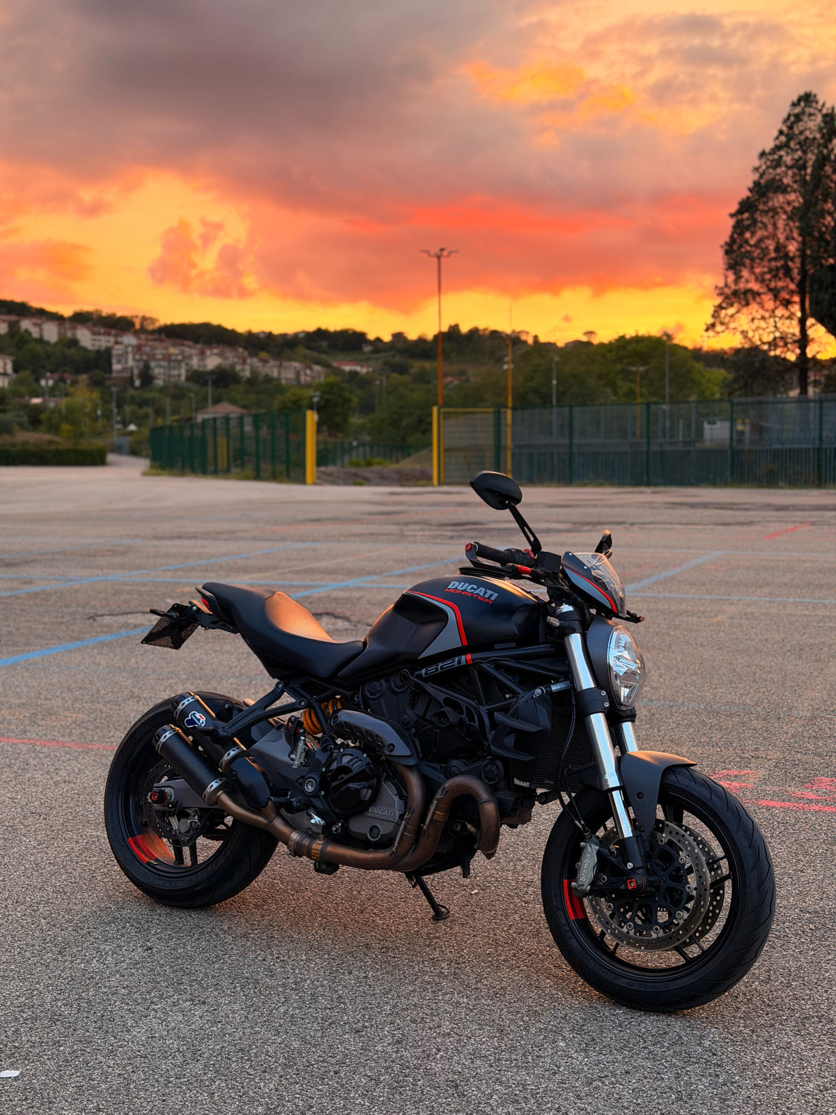 Ali Doppio - Ducati Monster 821 / 1200
