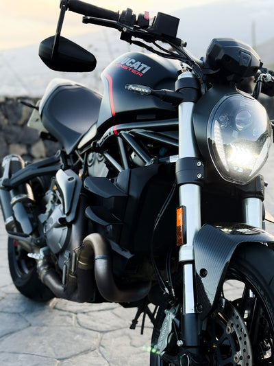 Alerones Dobles - Ducati Monster 821 / 1200