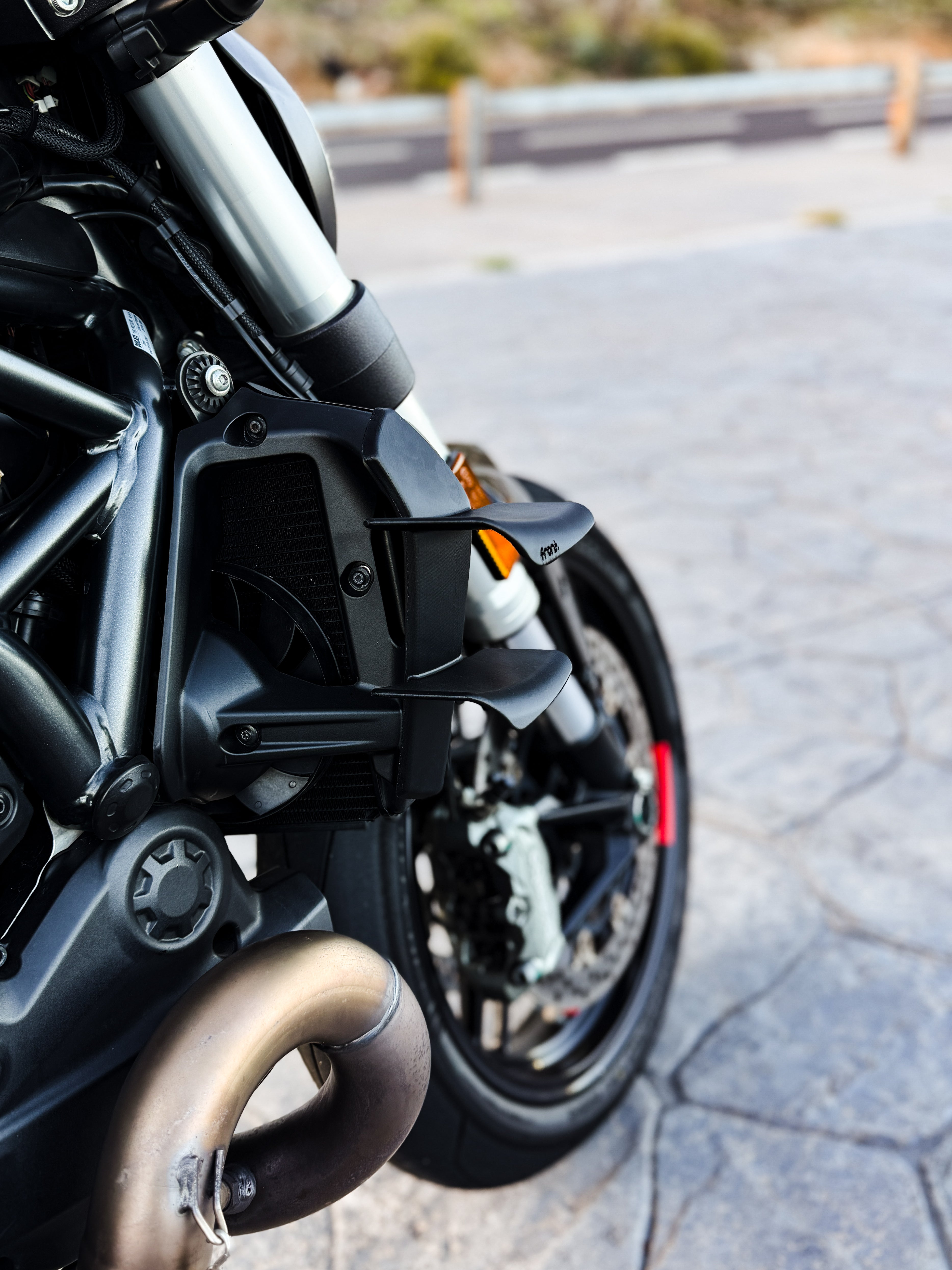 Side Wings - Ducati Monster 821 / 1200