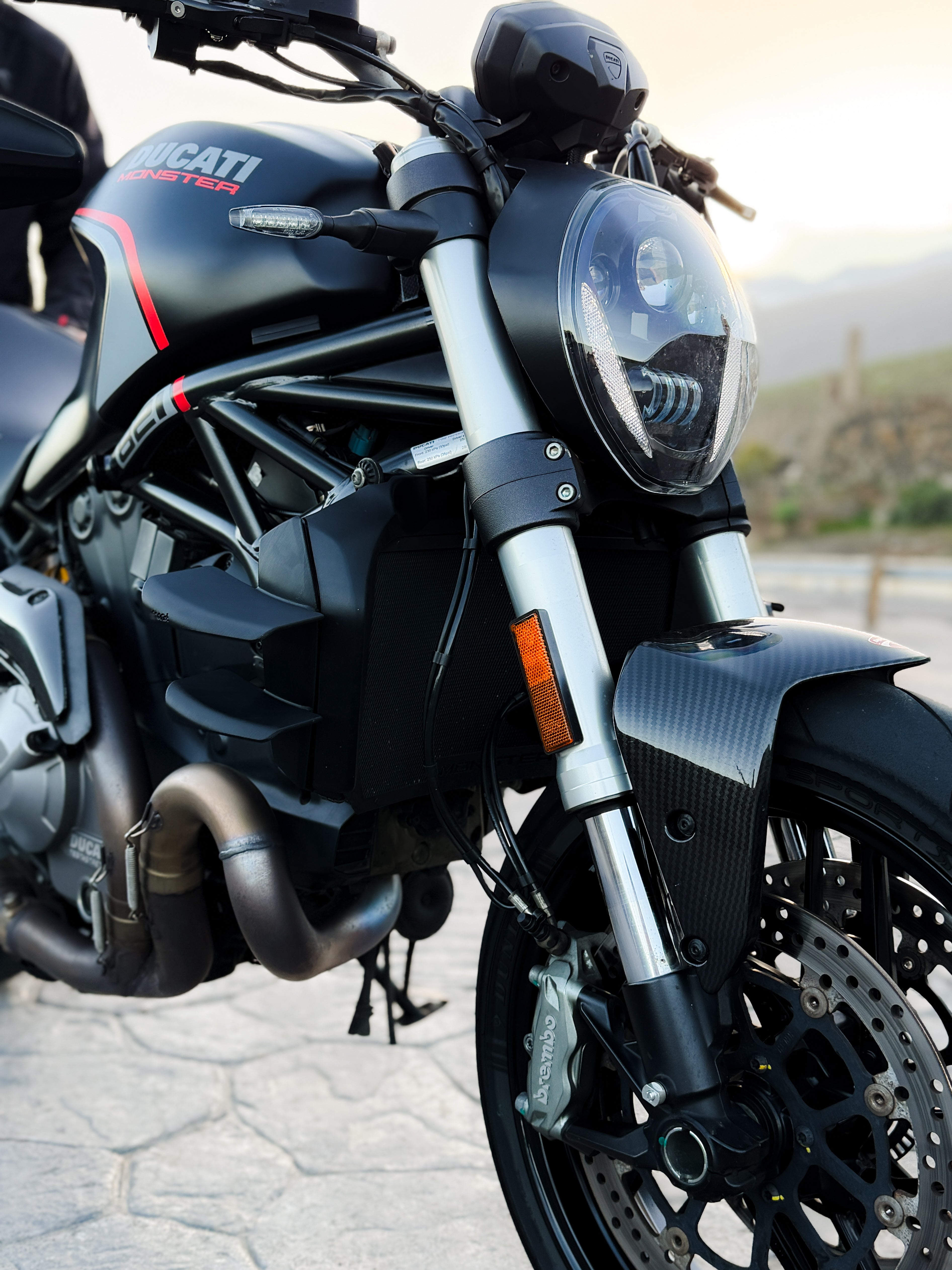 Side Wings - Ducati Monster 821 / 1200