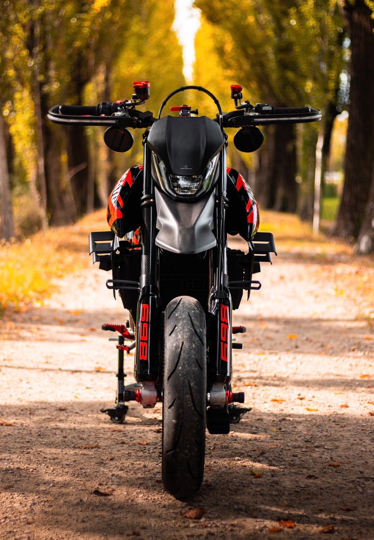Alette - Ducati Hypermotard 698 Mono