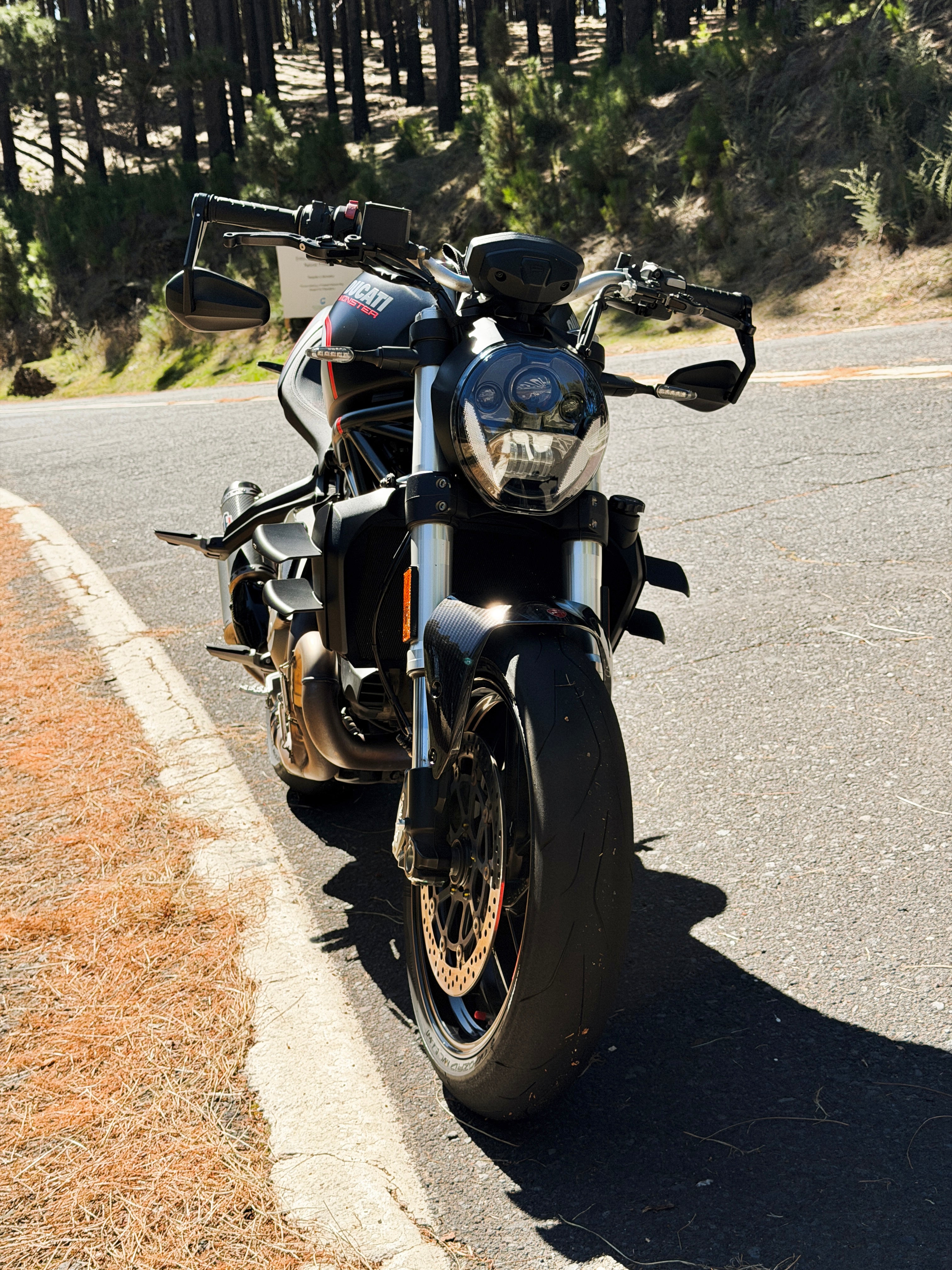 Side Wings - Ducati Monster 821 / 1200