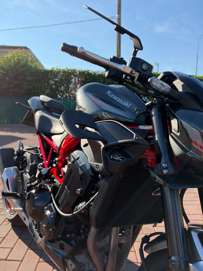 Ali Doppio - Kawasaki Z900